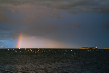 Morgen nach dem Sturm / ***