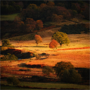 ...sunny spot... / ***