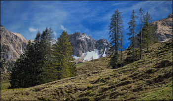 Bergfrühling / Alpen