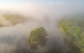 Foggy morning / ***