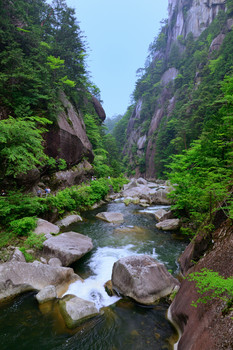Ravine / ***