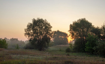 Morgendämmerung / ***