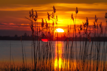 Sunset / ***