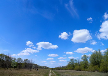 Path / ***