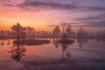 Evening fishing / ***