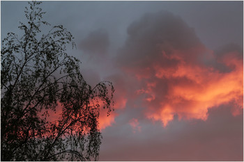 On the eve / ***