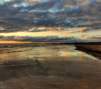 Evening / ***