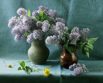 lilac / ***