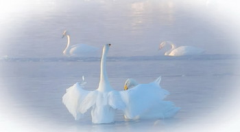 Mach dir keine Sorgen, ich bin mit dir ... / ***