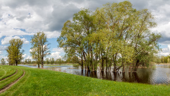 Spring flood / ***