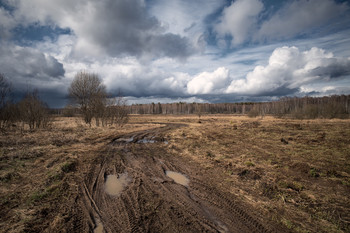 Spring contrasts / ***