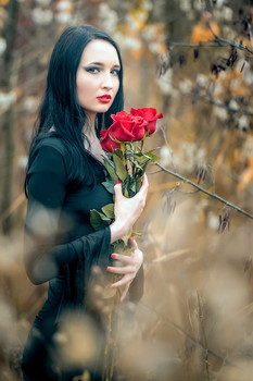 GOTHIC / ***