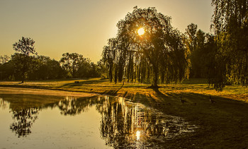 Sunny morning / ***
