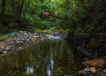 Living Water / ***