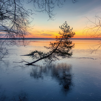 At dawn / ***
