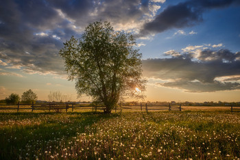 Am Ende des Tages ... / ***