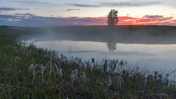 Evening fog / ***