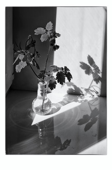 ' / .


[img]https://live.staticflickr.com/65535/49940463168_b5f9a0ae39_b.jpg[/img]

.