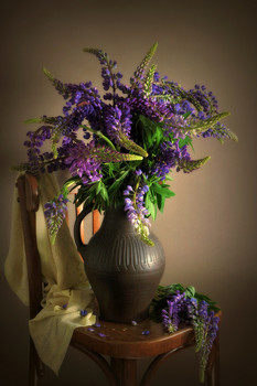 Lupins / 2019