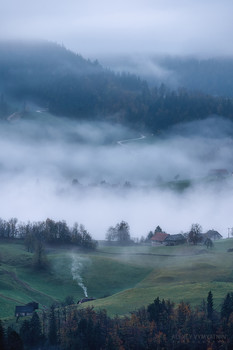 At dawn / ***