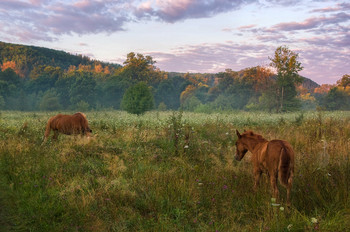 &nbsp; / http://www.youtube.com/watch?v=e7gvuKOKjoQ