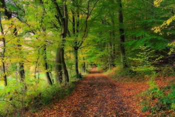 Natur / Natur