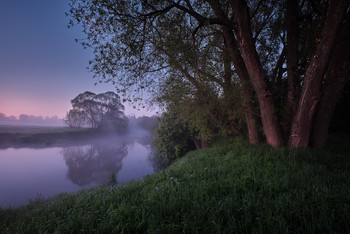Half an hour before dawn / ***