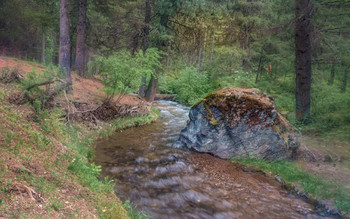 Taiga, stream .... / ***