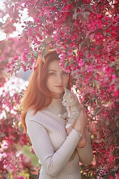  / ***