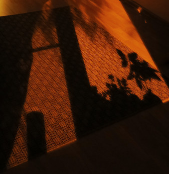 &nbsp; / [img]https://i.imgur.com/8GUhiIf.jpg[/img]