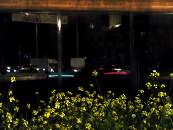 Evening / [img]https://i.imgur.com/mJF5IS3.jpg[/img]
