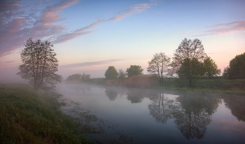 spring morning / ***