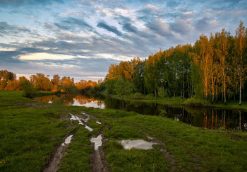 After the rain / ***