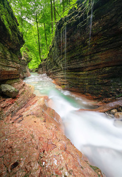 im Davidgraben / im Davidgraben