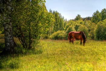 Idylle / ***