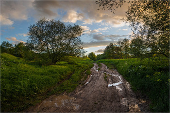 Nach dem regen / ***