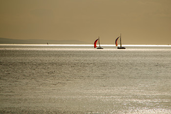 Der Goldene Bodensee / ***