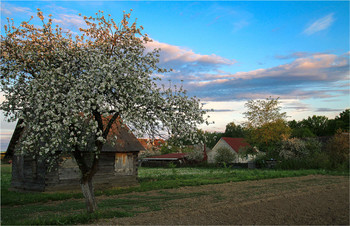 Abend im Dorf / ***