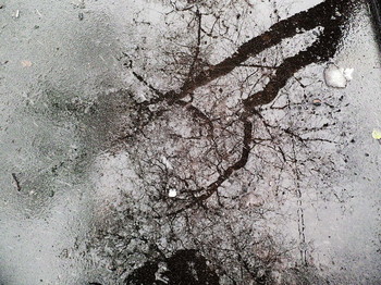 November / 2015-11-06-249-C00-076(80)+C


[img]https://i.imgur.com/mhn0hGH.jpg[/img]


[img]https://i.imgur.com/Ikp7ekE.jpg[/img]