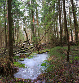 Letzte Ice / .....