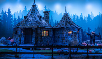 Potters Fantasy / Hagrids Haus CCXP 19