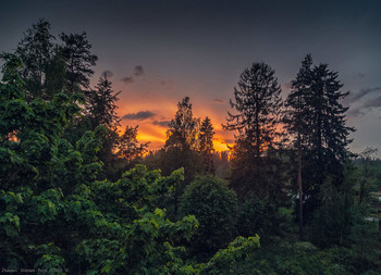 Mai-Abend / ***