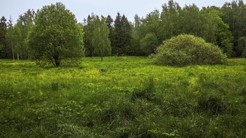 Spring / ***