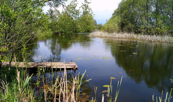 Auf dem Fluss / ***