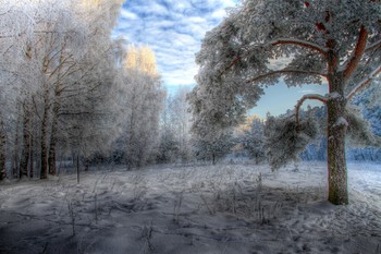 Rime / ***