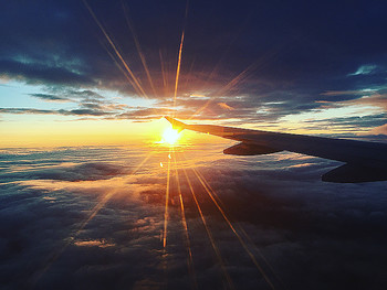Fly / ***