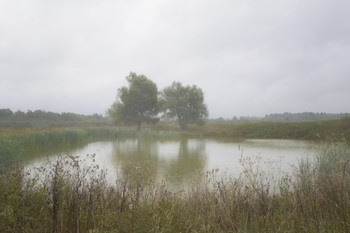 Rainy Day / ***