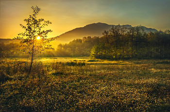 Sunrise / ***
