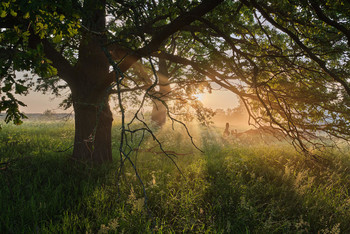 Encountering dawn / ***