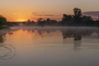 In the hour before dawn / ***